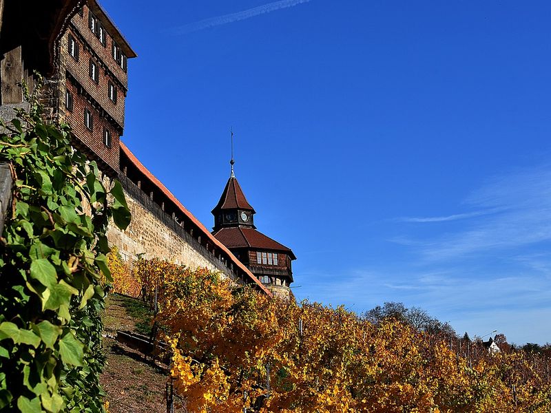 Orgullo Esslingen
