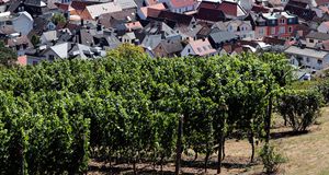 Bad Oeynhausen