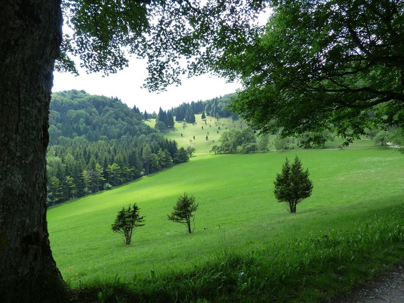 CSD Balingen 