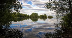 Reading Pride / CSD Reading