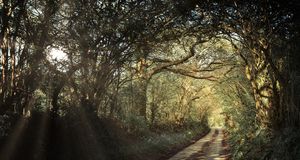 Bourne Pride / CSD Bourne