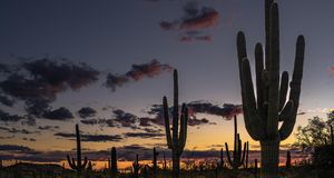 Tucson