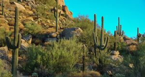 Scottsdale