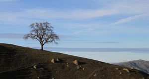Pine City Pride / East Central Minnesota Pride