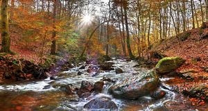 CSD Herzberg am Harz