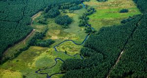 Wrocaw Pride / Wrocławski Marsz Równości