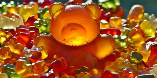 Bears Sitges Week