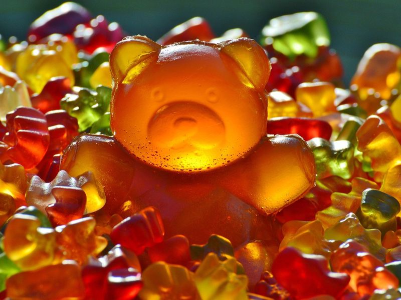 Bears Sitges Week