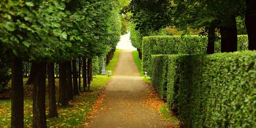 Peterhof