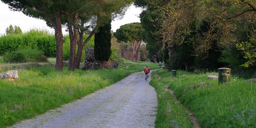 Via Appia