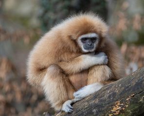 Zoo Odessa