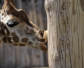 Zoo Leipzig