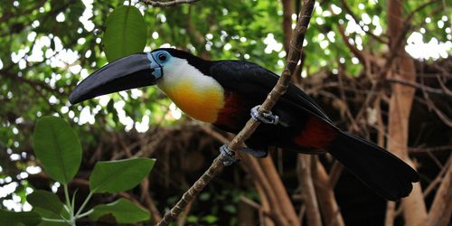 Zoo Duisburg