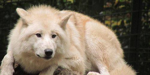 Der Grüne Zoo Wuppertal