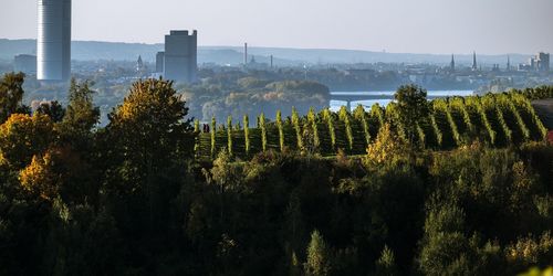 Palais Schaumburg