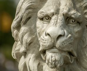 Lion’s Head