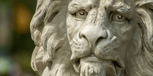 Lion’s Head