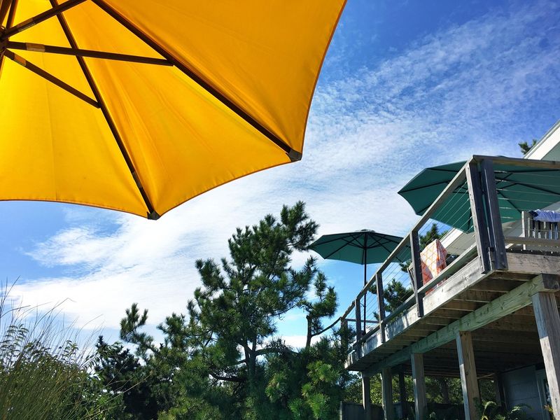 Fire Island