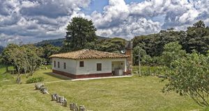 Medellín