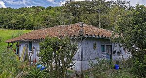 Medellín