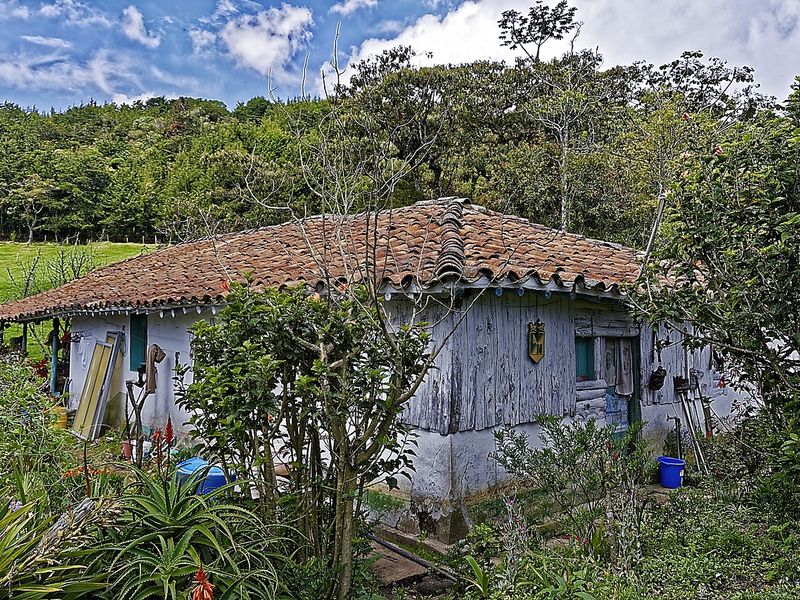 Medellín