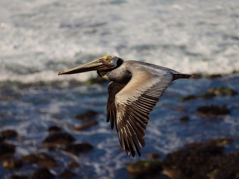 San Diego