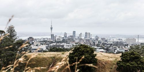 Mount Eden (Maungawhau)
