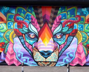 Wynwood Walls