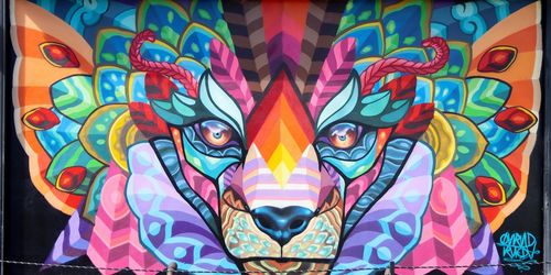 Wynwood Walls