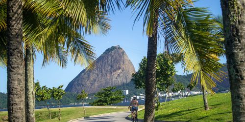 Pão de Açúcar (Zuckerhut)