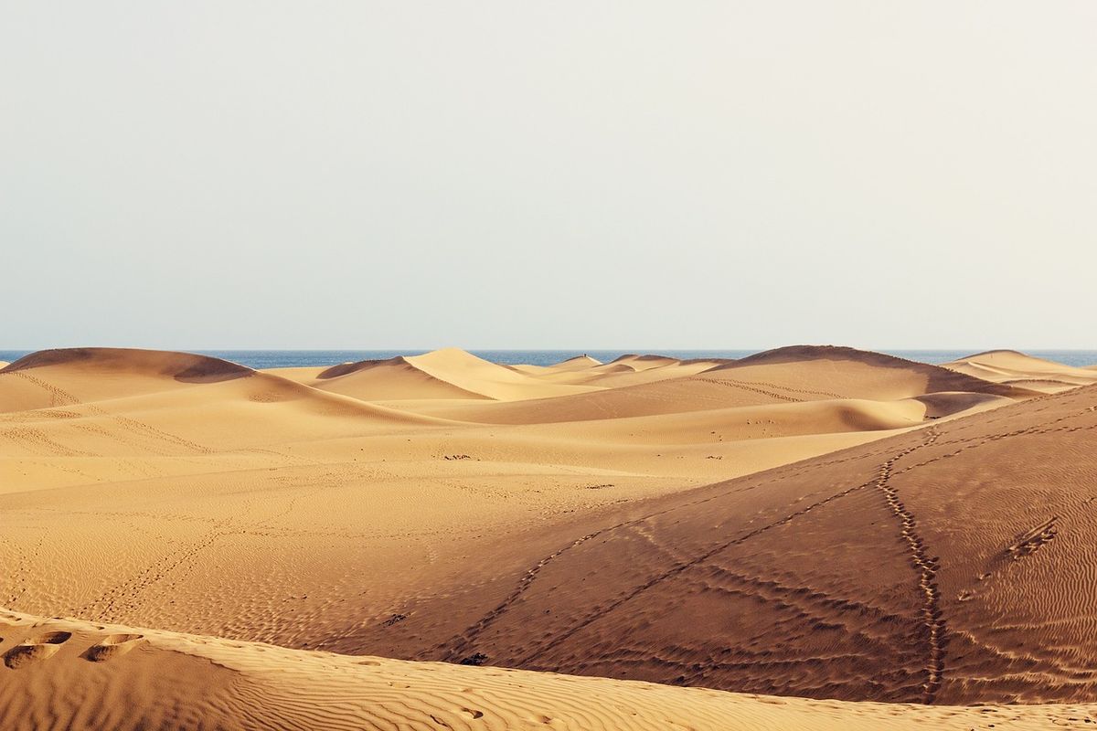 Gran Canaria im Winter: Warum Maspalomas das ganze Jahr funktioniert