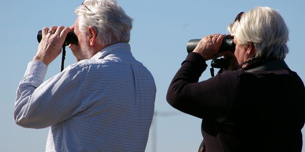 Queer 50+: Relaxed Travel From Midlife On