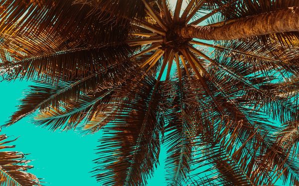 Gay Beaches Worldwide: From the Caribbean to Asia