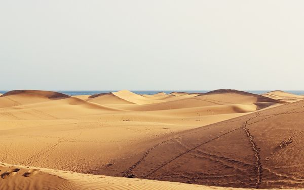 Gay Maspalomas in 3 Tagen