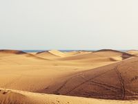 Gay Maspalomas in 3 Tagen