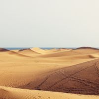 Gay Maspalomas in 3 Tagen
