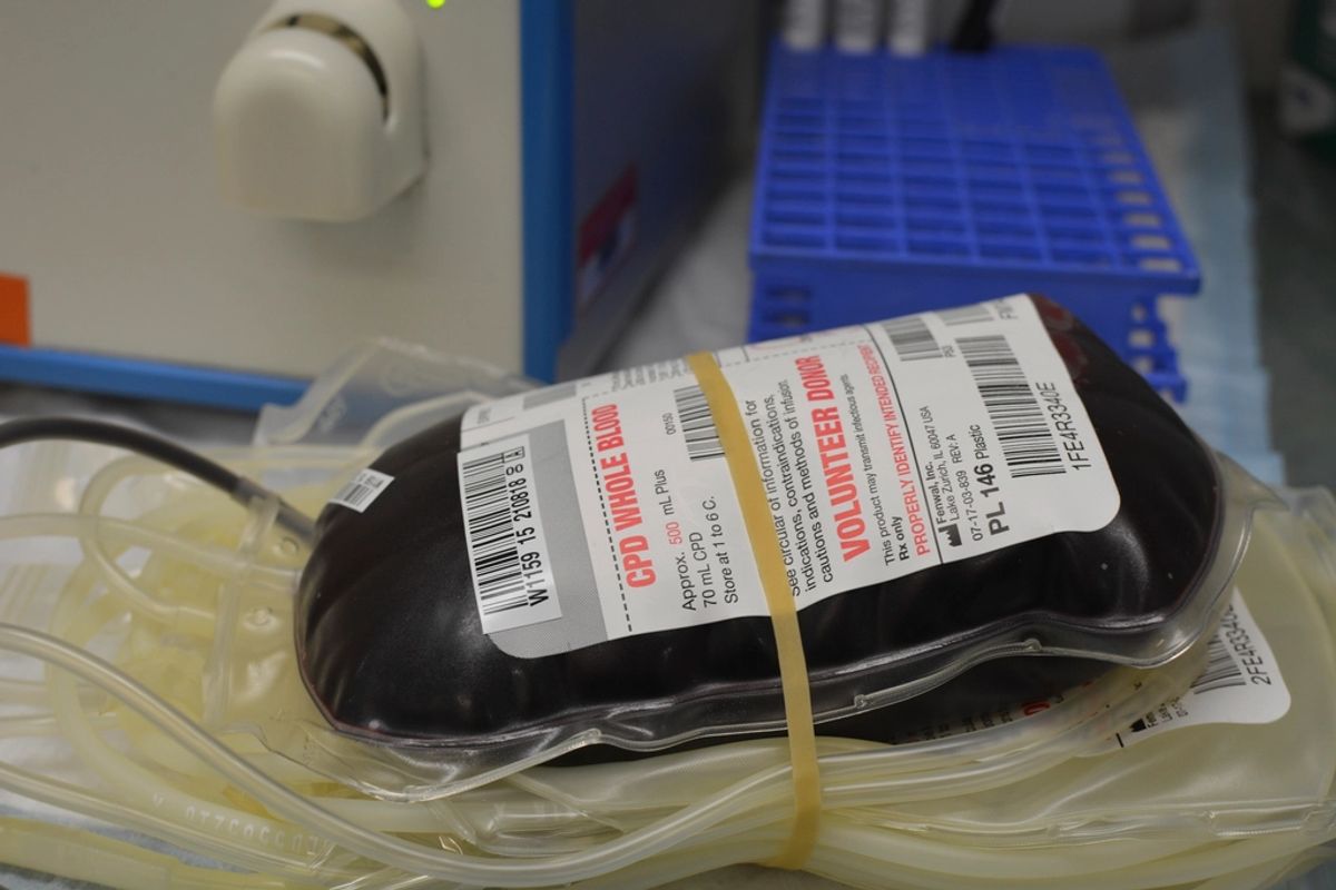 Blutspenden als queere Person: Was in Deutschland heute gilt