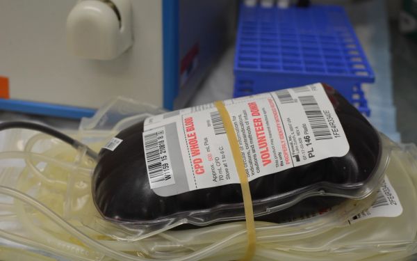 Blutspenden als queere Person: Was in Deutschland heute gilt
