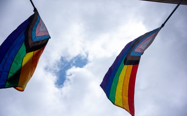 Pride Flags Explained: From the Rainbow Flag to the Progress Flag