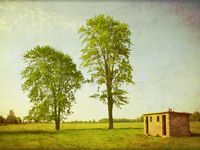 Queer in the Countryside: Finding Community Beyond the City