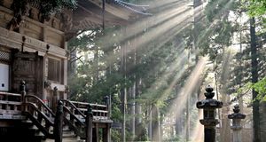 Orgullo Wakayama 2026
