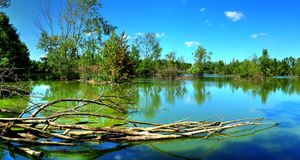 Angers Pride / Pride d’Angers