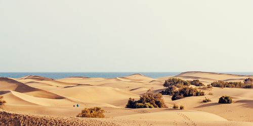 Gran Canaria