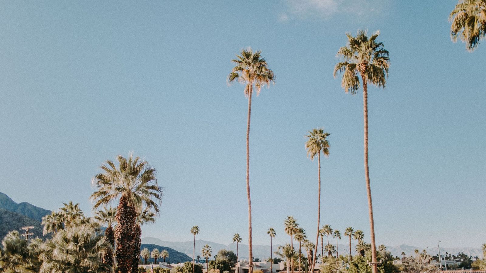 Palm Springs