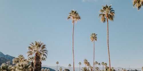 Palm Springs