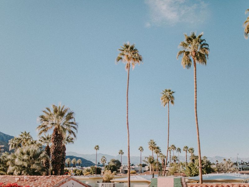Palm Springs – USA