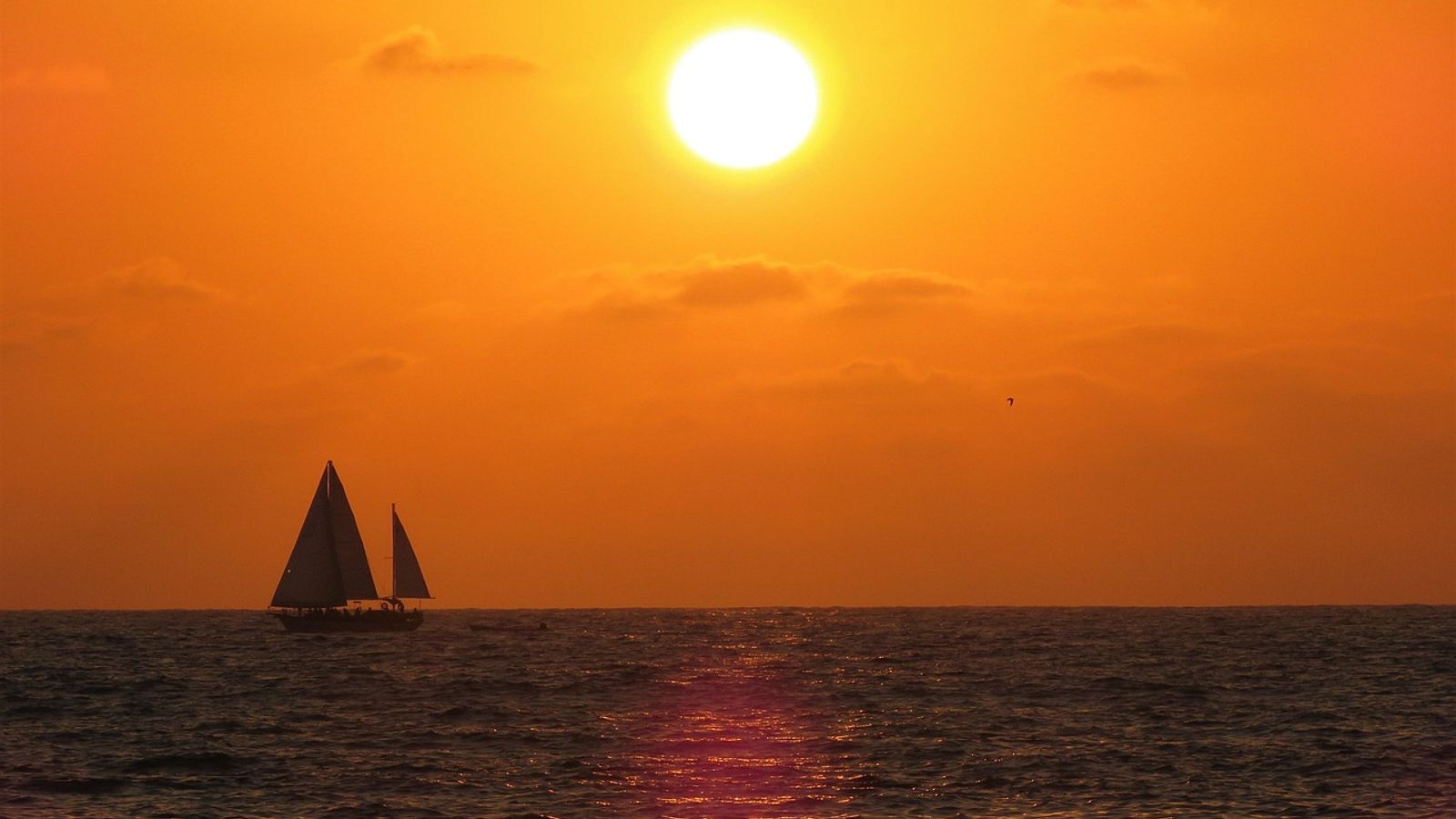 Puerto Vallarta