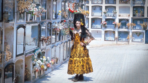 Ocaña, an Intermittent Portrait