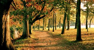 Nantes Pride / CSD Nantes