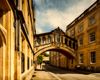 Oxford Pride
